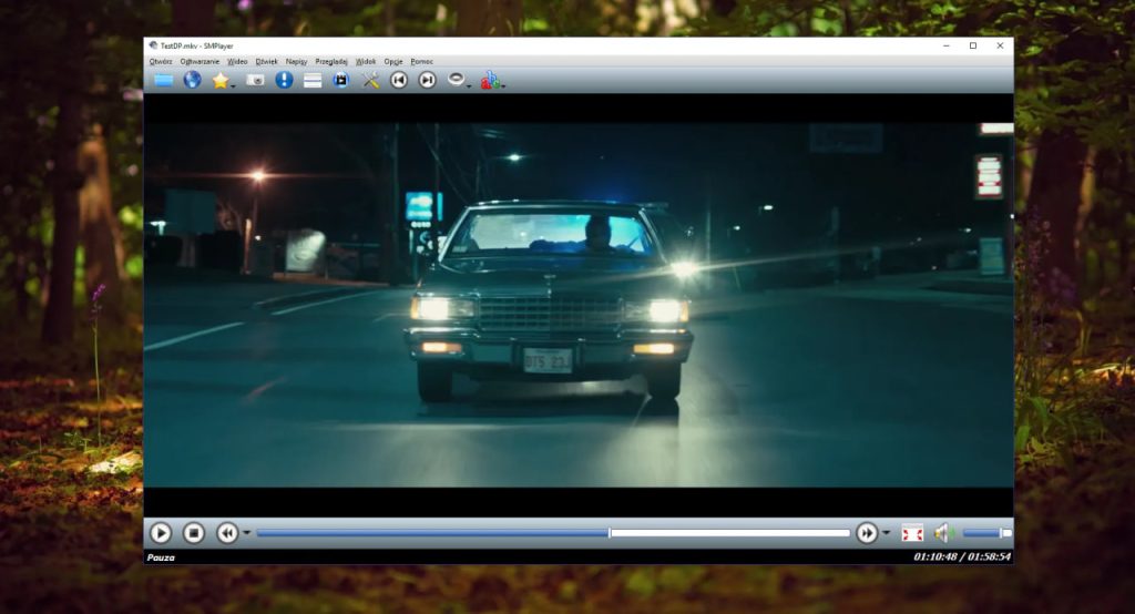The screenshot from the website of the SMPlayer SMPlayer’s website